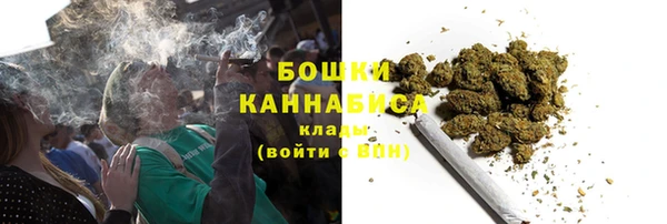 прущие грибы Абдулино