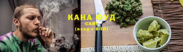 PSILOCYBIN Алзамай