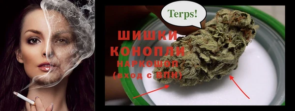 прущие грибы Абдулино