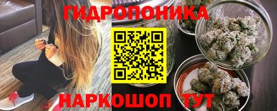 стаф Славгород