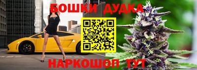 крисы Сланцы