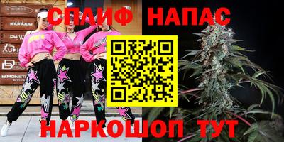 стаф Славгород