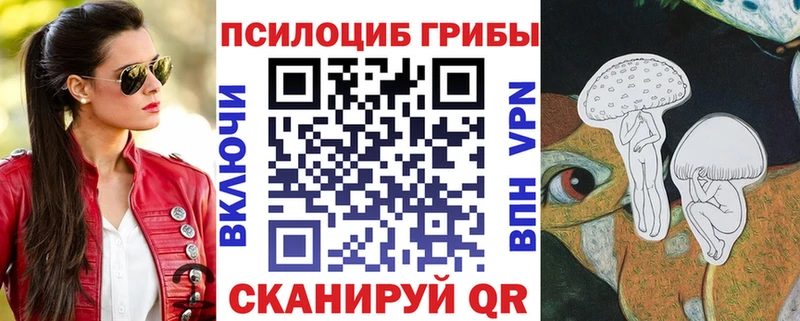 наркота  Тутаев  гидра зеркало  Псилоцибиновые грибы Psilocybe 
