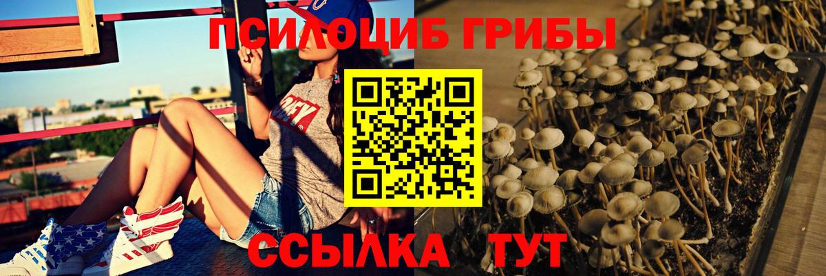 Псилоцибиновые грибы прущие грибы Тутаев
