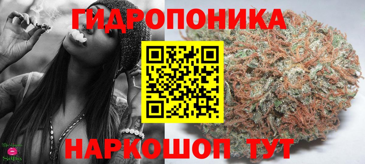Шишки марихуана план Тутаев